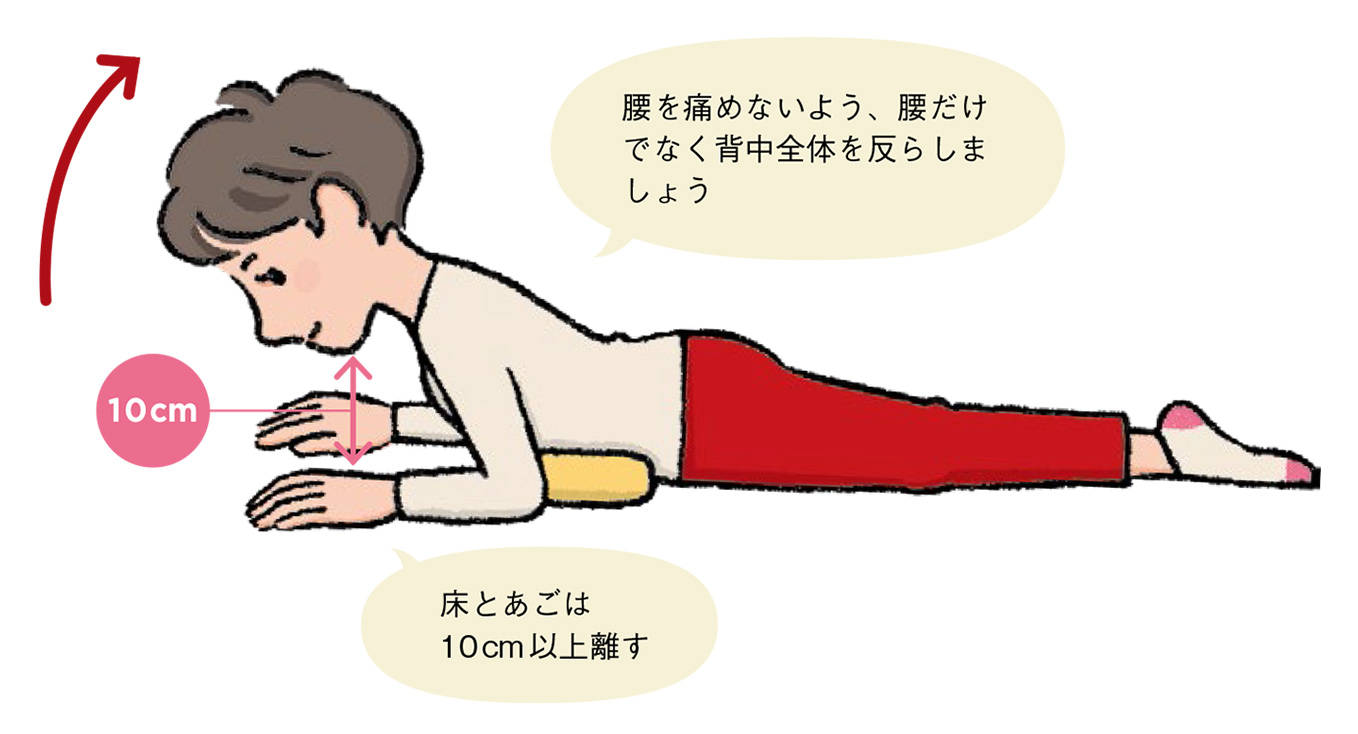 2 腰を痛めないよう、腰だけでなく背中全体を反らしましょう 床とあごは10cm以上離す