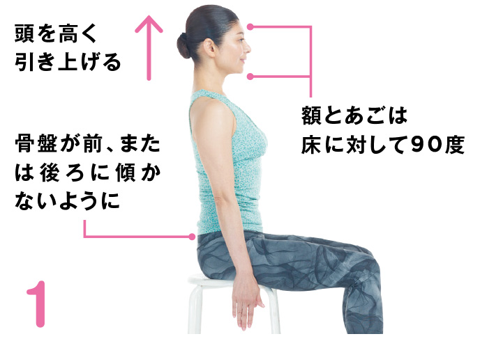 1 頭を高く引き上げる 額とあごは床に対して90度 骨盤が前、または後ろに傾かないように