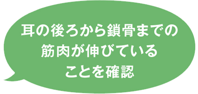 耳の後ろから鎖骨までの筋肉が伸びていることを確認