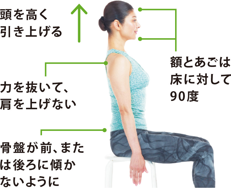1 頭を高く引き上げる 額とあごは床に対して90度 力を抜いて、肩を上げない 骨盤が前、または後ろに傾かないように