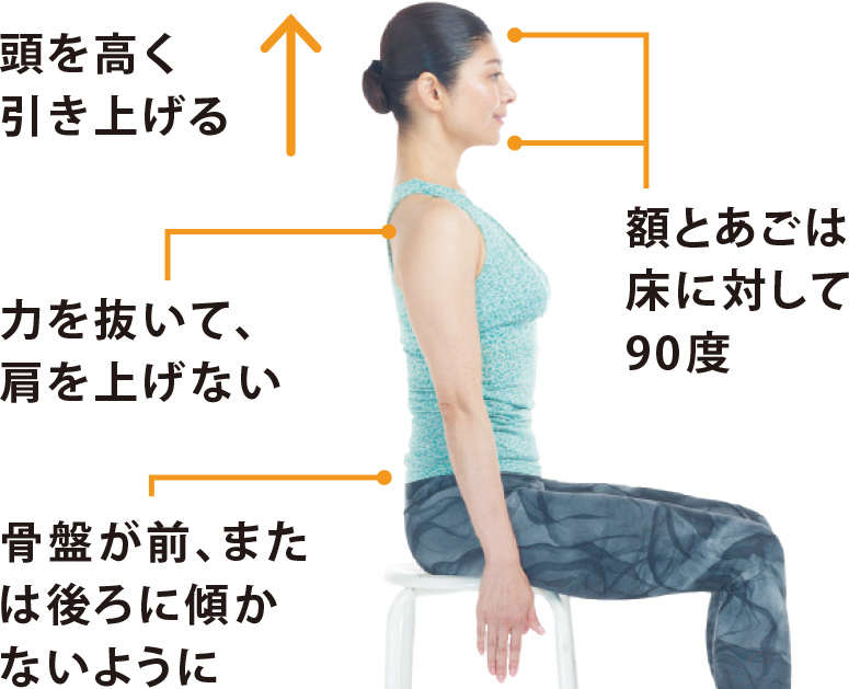 1 頭を高く引き上げる 額とあごは床に対して90度 力を抜いて、肩を上げない 骨盤が前、または後ろに傾かないように