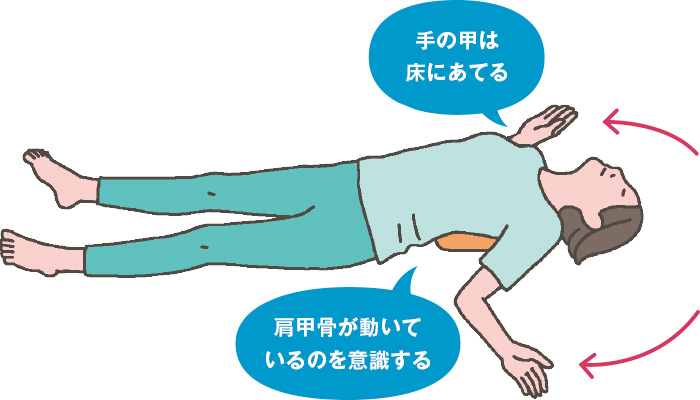 手の甲は床にあてる　肩甲骨が動いているのを意識する