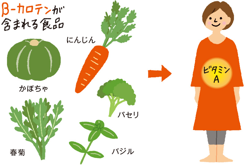 βカロテンが含まれる食品　にんじん、かぼちゃ、パセリ、春菊、バジル→ビタミンA