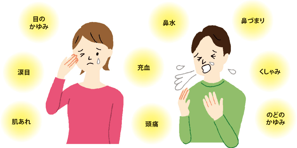 目のかゆみ　涙目　肌あれ　鼻水　充血　頭痛　鼻づまり　くしゃみ　のどのかゆみ