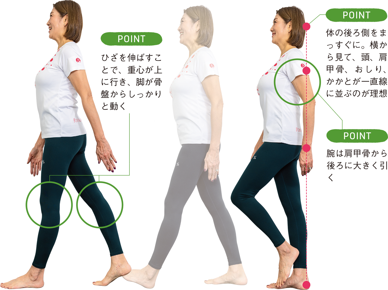 体の後ろ側をまっすぐに。横から見て、頭、肩甲骨、おしり、かかとが一直線に並ぶのが理想　腕は肩甲骨から後ろに大きく引く　ひざを伸ばすことで、重心が上に行き、脚が骨盤からしっかりと動く