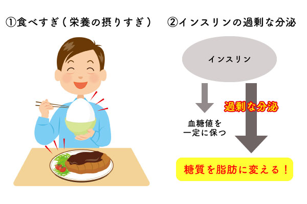 食べすぎ栄養の摂りすぎとインスリンの過剰な分泌によるもの