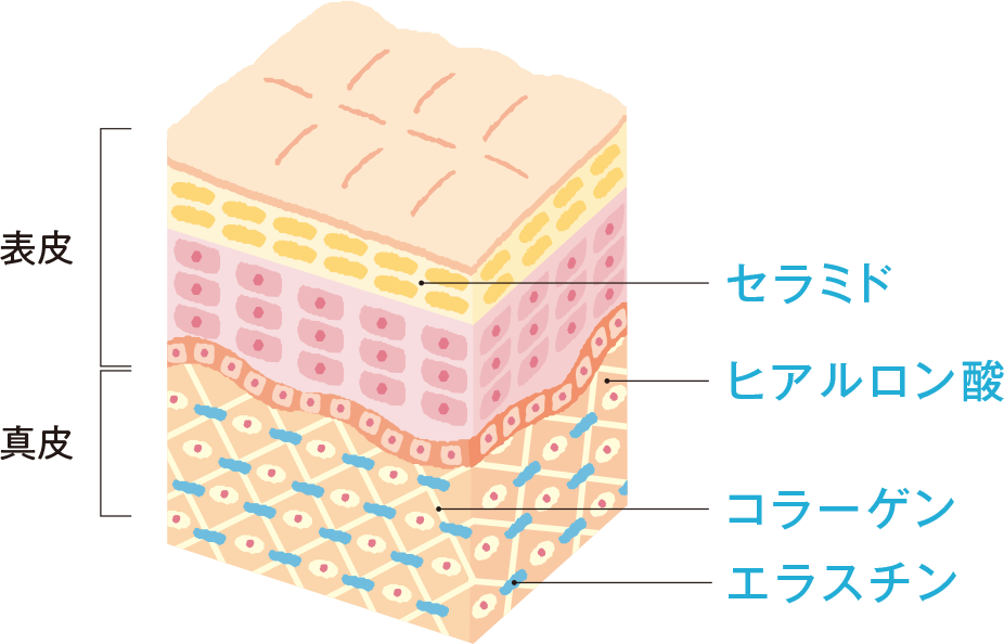 体が冷えると血流が悪化　さまざまな不調の原因に！　頭痛　肩こり　腰痛　肌荒れ　胃もたれ　便秘　下痢　不眠　イライラ　風邪をひきやすい　生理不順　むくみ