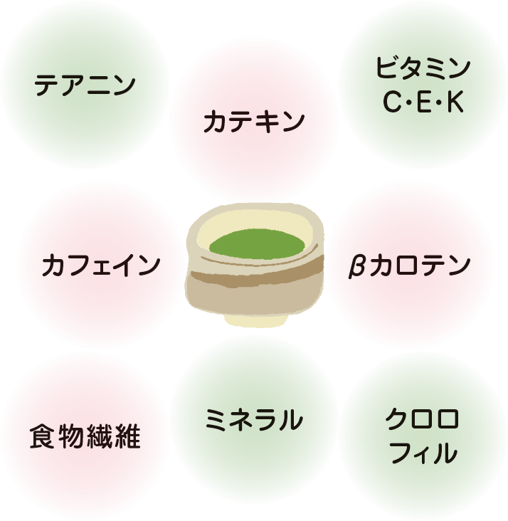 テアニン　カテキン　ビタミンC・E・K　カフェイン　βカロテン　食物繊維　ミネラル　クロロフィル