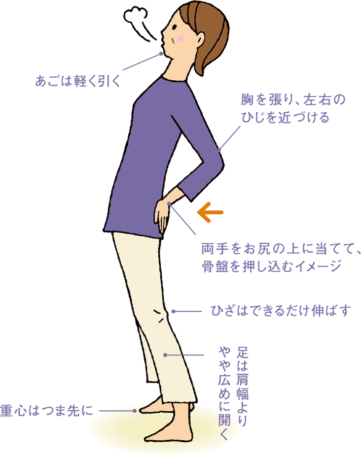 あごは軽く引く。胸を張り、左右のひじを近づける。両手をお尻の上に当てて、骨盤を押し込むイメージ。ひざはできるだけ伸ばす。足は肩幅よりやや広めに開く。重心はつま先に。
