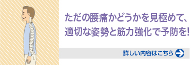 ただの腰痛かどうかを見極めて、適切な姿勢と筋力強化で予防を！