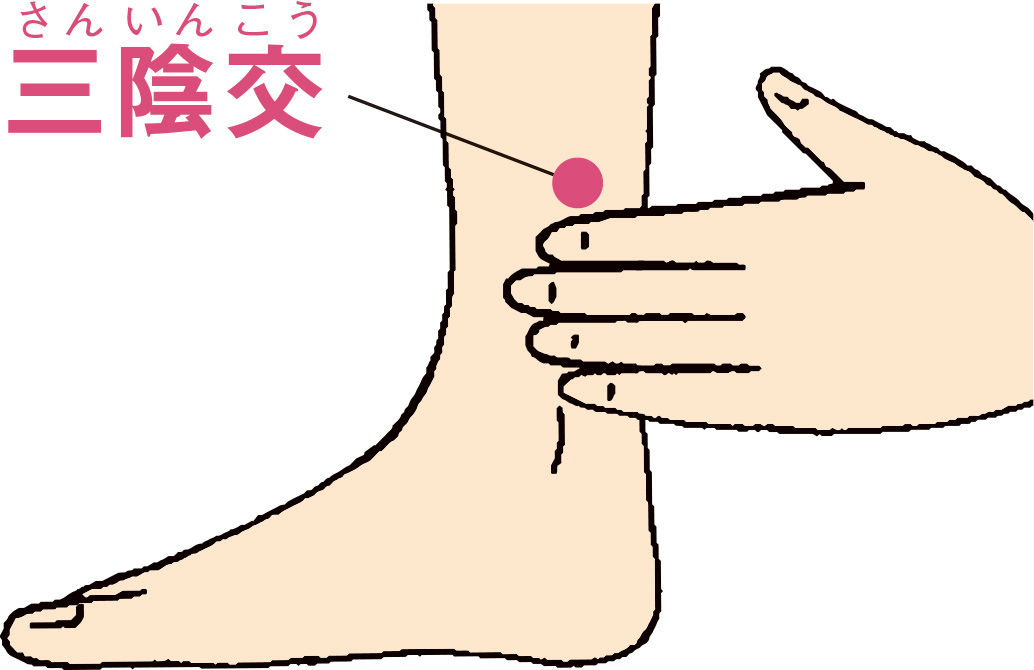 三陰交（さんいんこう）
