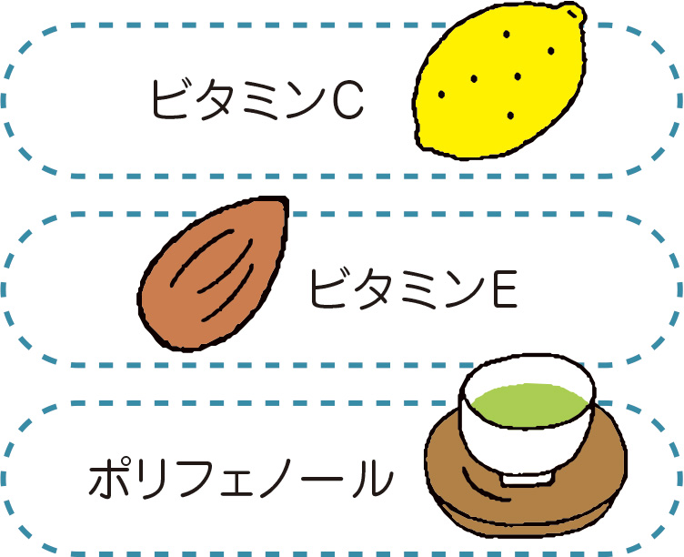 ビタミンC　ビタミンE　ポリフェノール