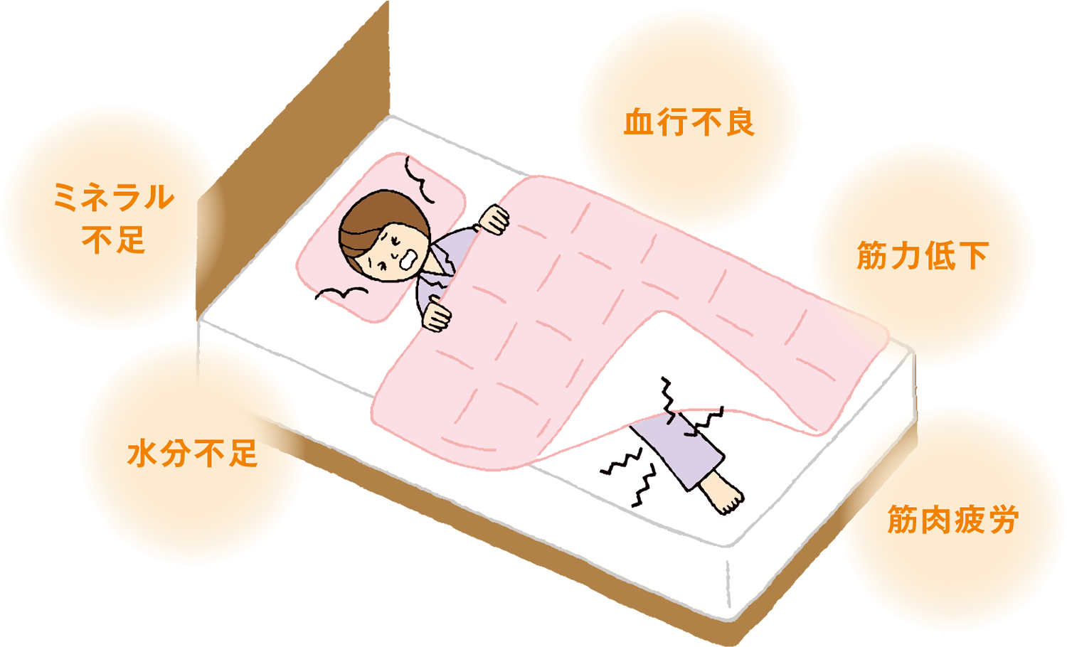 ミネラル不足　水分不足　血行不良　筋力低下　筋肉疲労