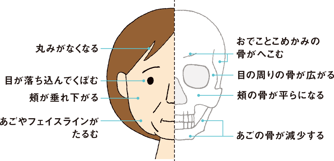 ⾻の量がシワやたるみの原因！？⾻を強くして若々しく健康に！