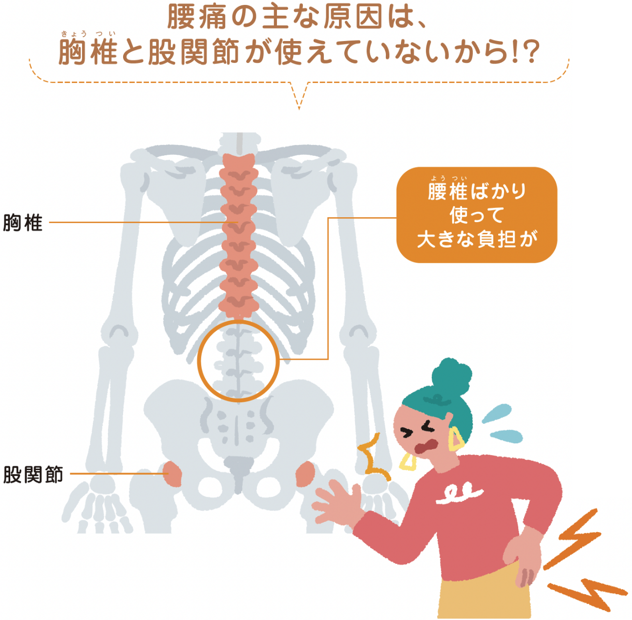 腰痛の主な原因は、胸きょう椎ついと股関節が使えていないから!?
