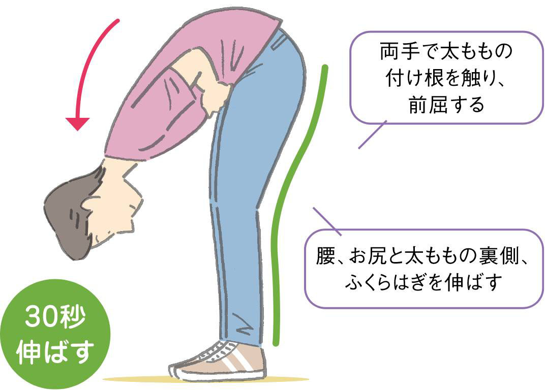 太ももの付け根から前屈する