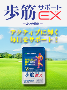 歩筋サポートEX