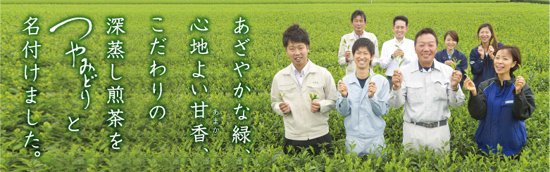 あざやかな緑、心地よい甘香、こだわりの深蒸し煎茶をつやみどりと名付けました。