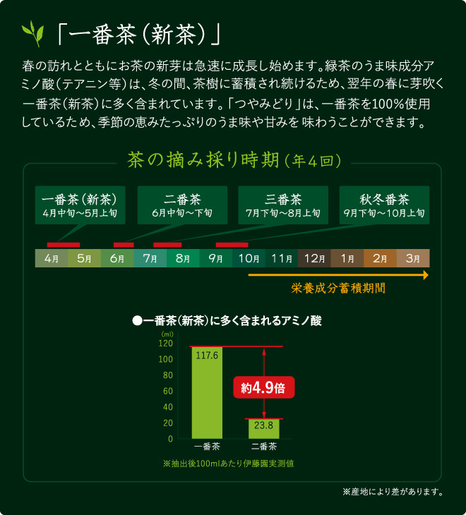 「一番茶（新茶）」　春の訪れとともにお茶の新芽は急速に成長し始めます。緑茶のうま味成分アミノ酸（テアニン等）は、冬の間、茶樹に蓄積され続けるため、翌年の春に芽吹く一番茶（新茶）に多く含まれています。「つやみどり」は、一番茶を100％使用しているため、季節の恵みたっぷりのうま味や甘みを味わうことができます。　茶の摘み採り時期（年4回）　一番茶（新茶）：4月中旬～5月上旬　二番茶：6月中旬～下旬　三番茶：7月下旬～8月上旬　秋冬番茶：9月下旬～10月下旬　栄養成分蓄積期間：10月頃～3月　●一番茶（新茶）に多く含まれるアミノ酸　一番茶（117.6ml）、二番茶（23.8ml）　約4.9倍の差　※抽出後100mlあたり伊藤園実測値　※産地により差があります。