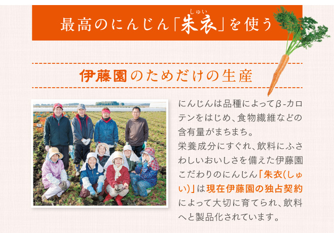 伊藤園のためだけの生産　にんじんは品種によってβカロテンをはじめ、食物繊維などの含有量がまちまち。栄養成分にすぐれ、飲料にふさわしいおいしさを備えた伊藤園こだわりのにんじん「朱衣（しゅい）」は現在伊藤園の独占契約によって大切に育てられ、飲料へと製品化されています。