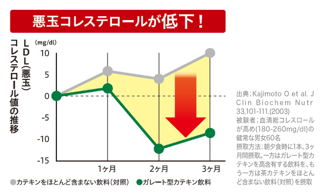 悪玉コレステロールが低下！ 被験者：血清総コレステロールが高め(180-260mg/dl)の健常な男女60名 摂取方法：朝夕食事に1本、3ヶ月間摂取。一方はガレート型カテキンを高含有する飲料を、もう一方は茶カテキンをほとんど含まない飲料(対照)を摂取。