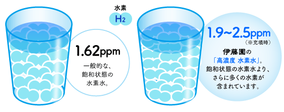水素濃度の図　一般的な飽和状態の水素水1.62ppm　伊藤園の「高濃度水素水」。飽和状態の水素水よりさらに多くの水素が含まれています。1.9～2.5ppm（※充填時）