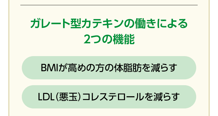 ガレート型カテキンの働きによる 2つの機能