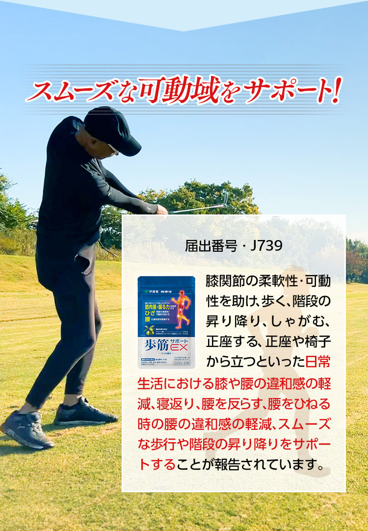 スムーズな可動域をサポート！