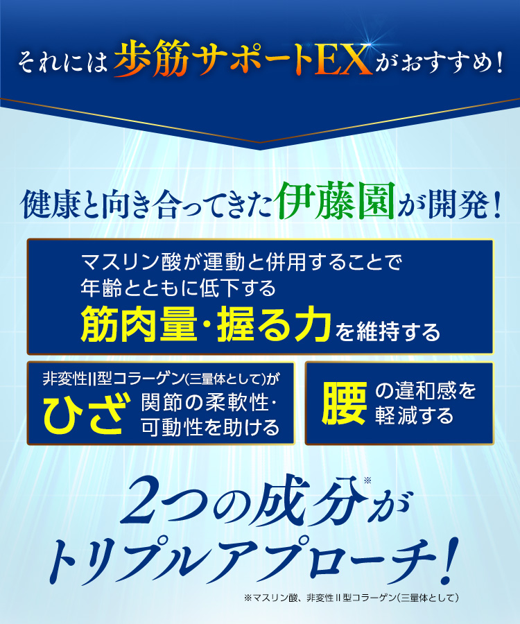 それには歩筋サポートEXがおすすめ！