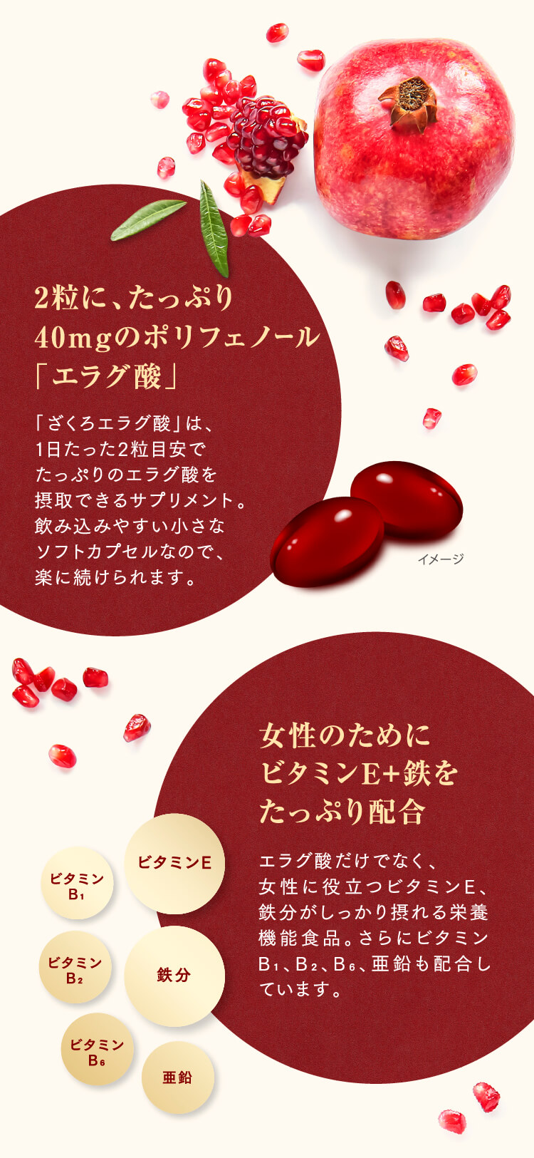 通販限定】伊藤園 ざくろエラグ酸 サプリメント 先行予約ページ