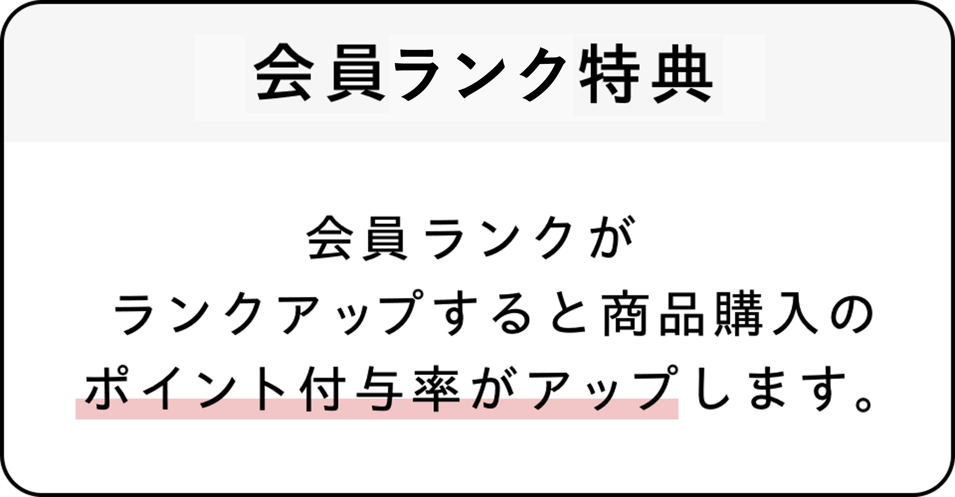 新規会員登録02
