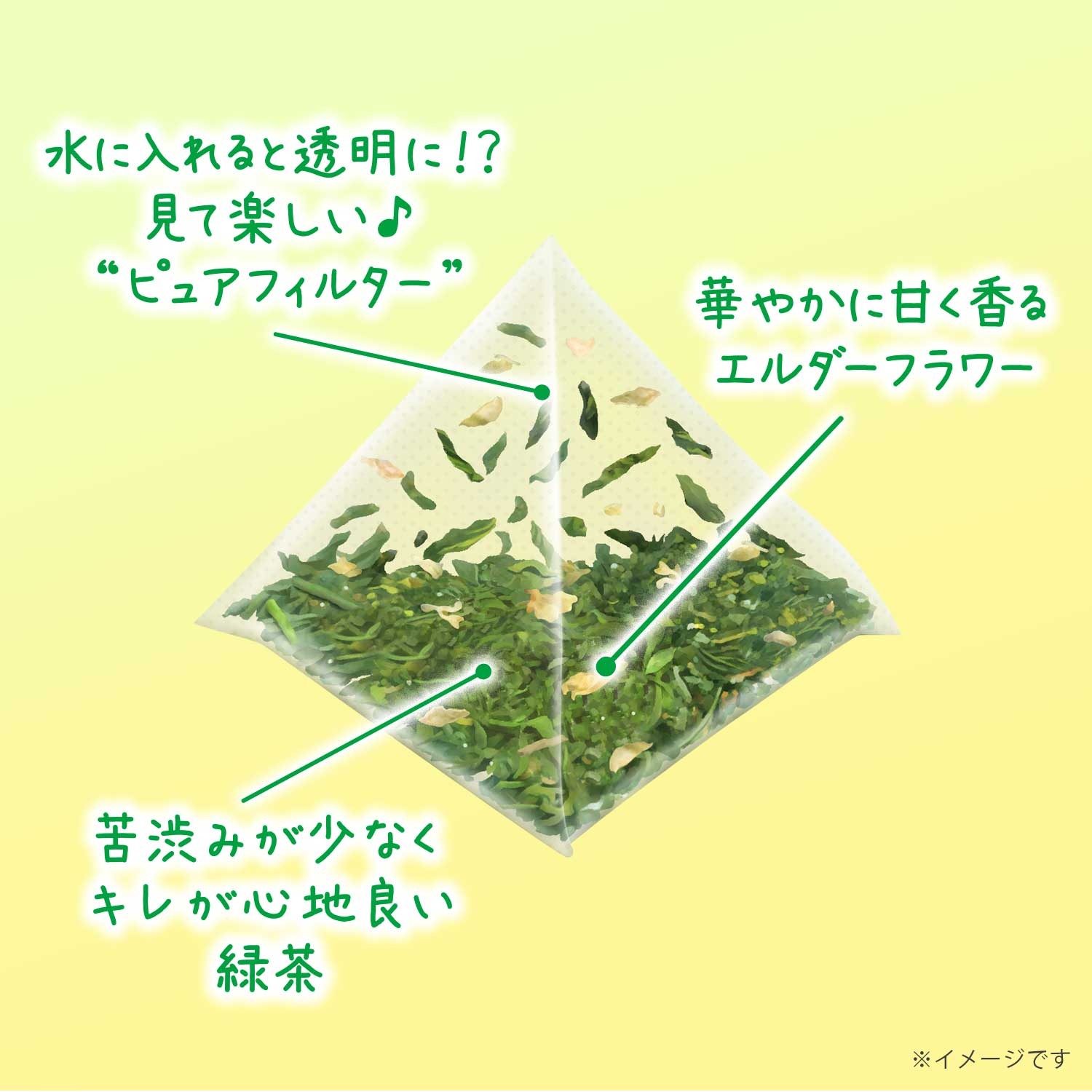 香るCold Brew Tea グリーンティー×マスカット