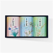 日本の伝承 DKG-303