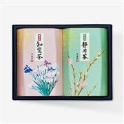 日本の伝承 DKG-20