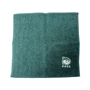 チー坊抗菌タオルハンカチ（グリーン）